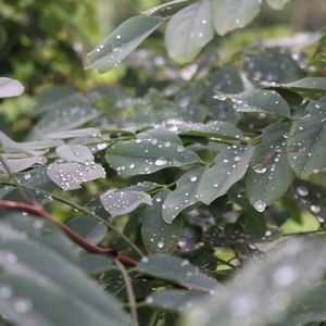 Meet your Posher, Carly